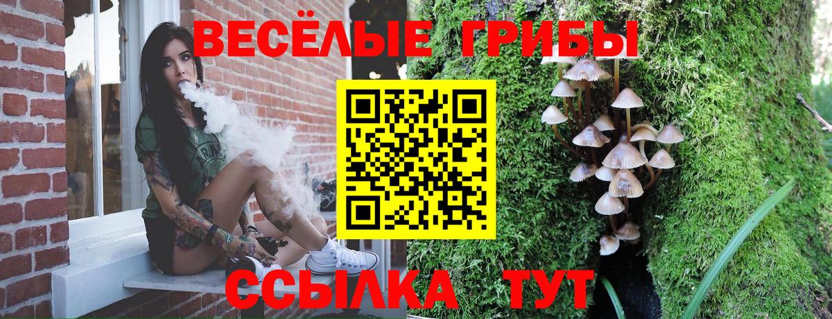 Первоуральск  даркнет сайт  Псилоцибиновые грибы MAGIC MUSHROOMS  Вход с VPN  Псилоцибиновые грибы Psilocybe 